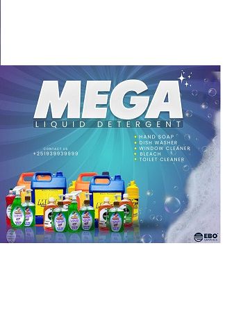 MEGA Detergent and Cosmetics Company