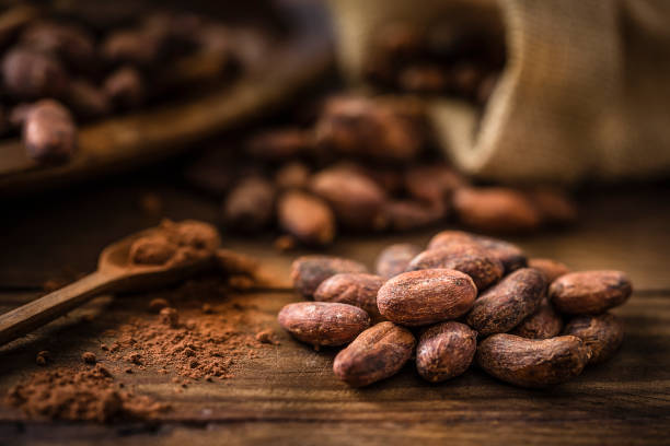 Ethiopia Expands Cocoa Production to Tap Global Chocolate Market